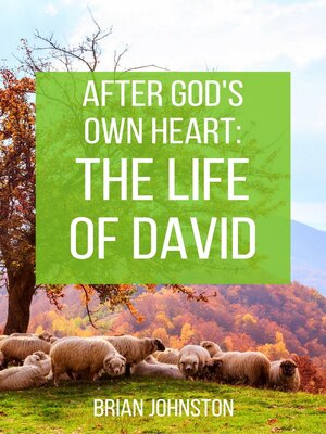 cover image of After God's Own Heart
